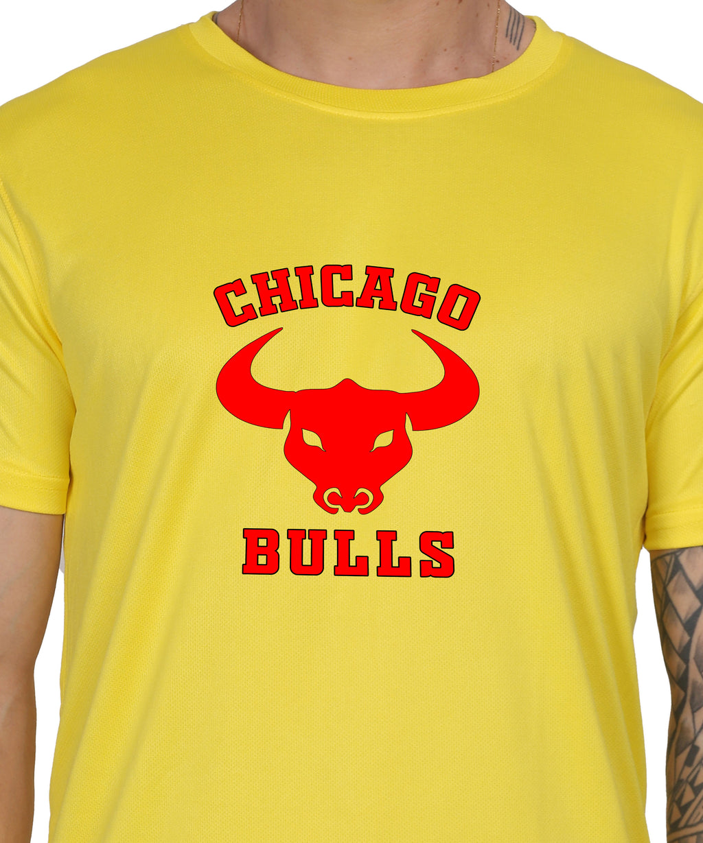 Chicago Bulls NBA Basketball Team Logo T-Shirt, Cotton, Short Sleeve, Regular Fit